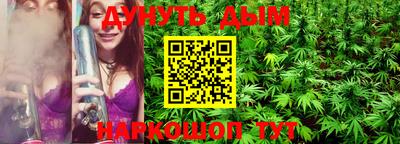 шишки Новодвинск