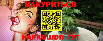 шишки Новодвинск