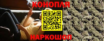 шишки Новодвинск