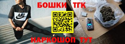 шишки Новодвинск