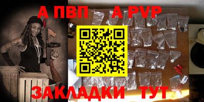 шишки Новодвинск