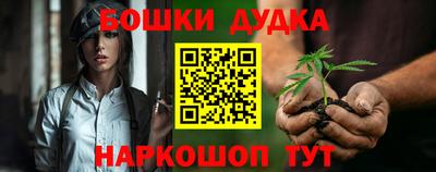 шишки Новодвинск