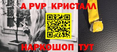 шишки Новодвинск