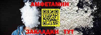 шишки Новодвинск