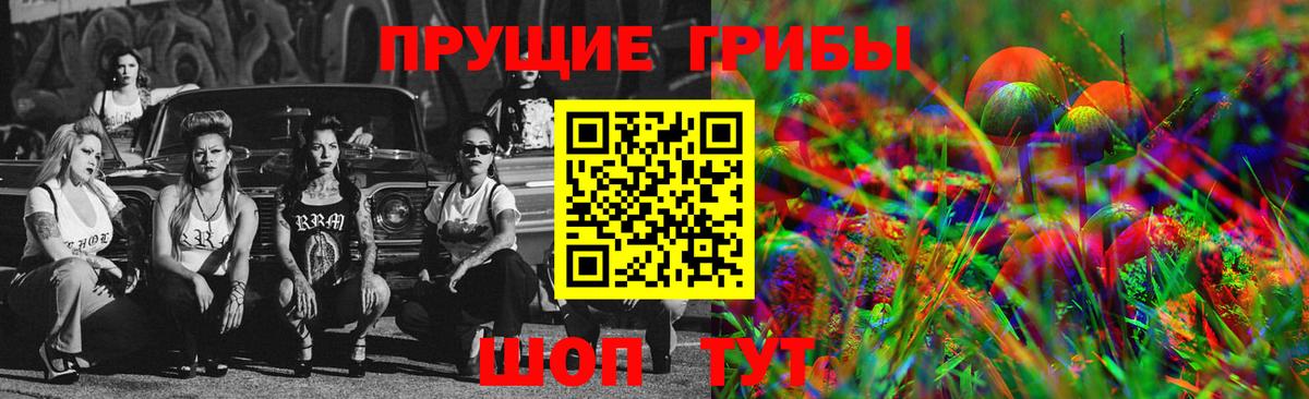 Псилоцибиновые грибы Cubensis Туапсе