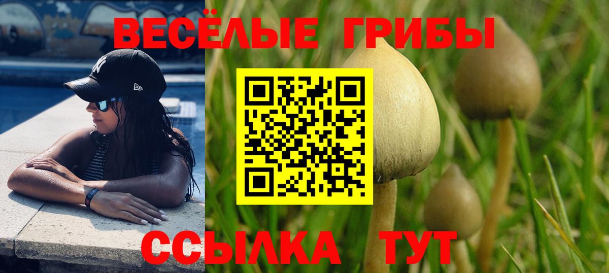 Галлюциногенные грибы Cubensis  Галлюциногенные грибы Psilocybe  Вход с VPN  Туапсе 